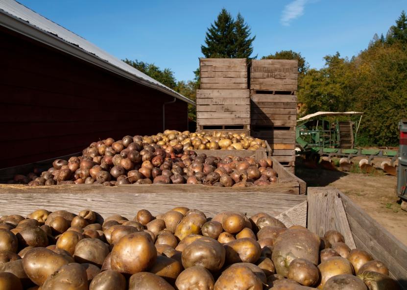 Asociatyvi nuotr. Canva nuotr. 