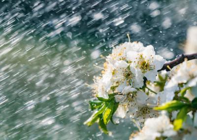 Asociatyvi nuotr. Canva nuotr.