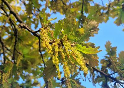 Asociatyvi nuotr. AM nuotr.