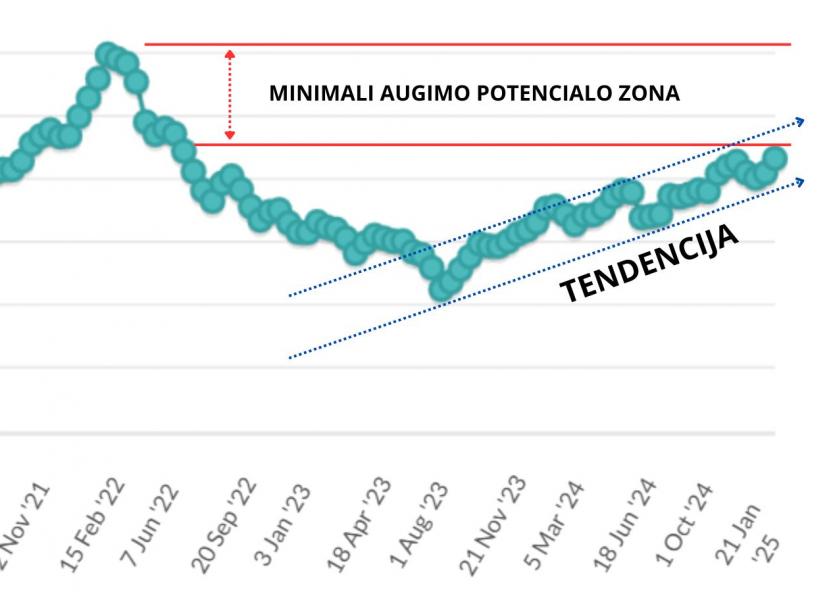 GDT indekso kreivė ir galimas scenarijus. 