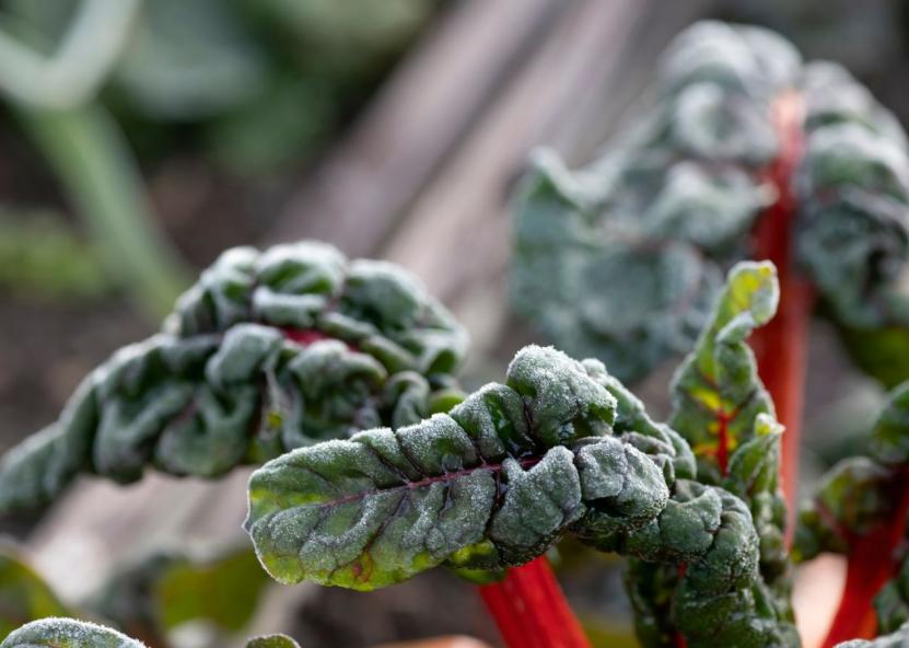 Asociatyvi nuotr. Canva nuotr. 