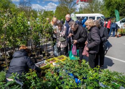 Sodinukų mugė. JP nuotr.
