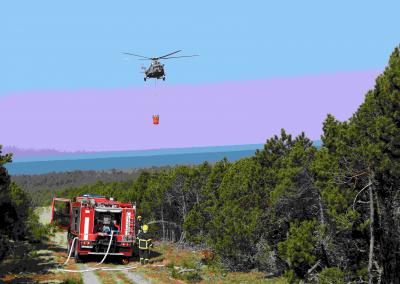 Gaisras miške. VMU nuotr.
