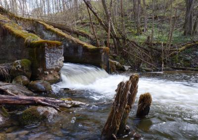 Užtvanka. AM nuotr.