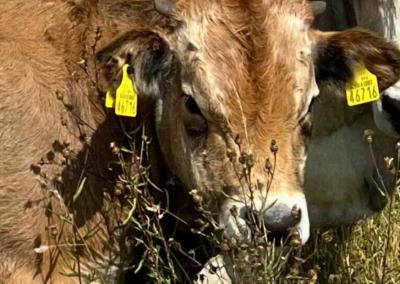 Asociatyvi nuotr. Dzūkų žinios nuotr.