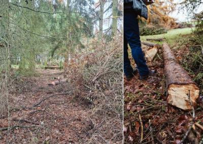 E. Kuktienės nuotr.