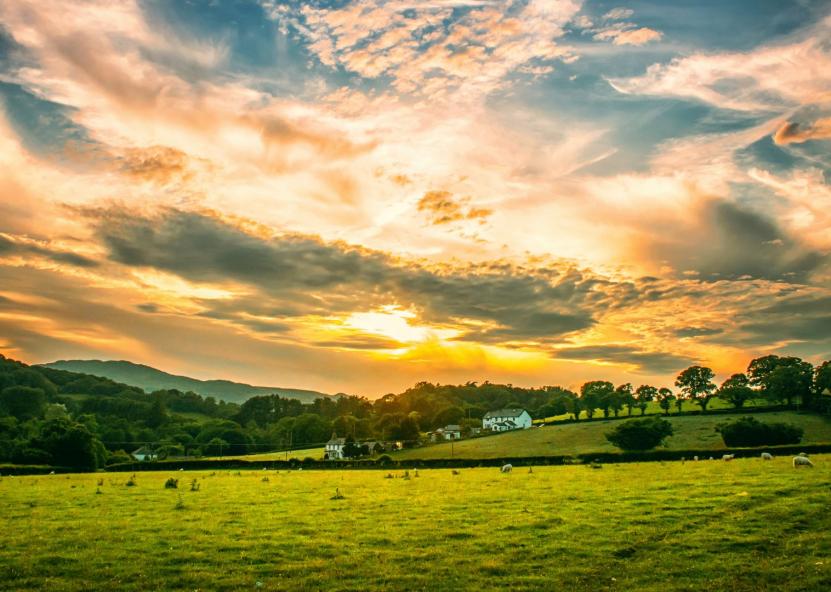 Asociatyvi nuotr. Canva nuotr. 