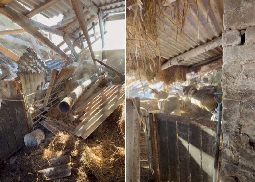 Įvykio stop kadrai. 