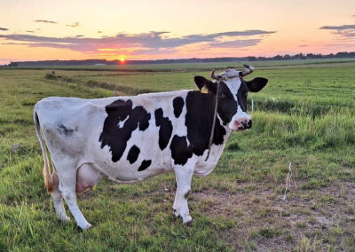 Pieno ūkio nuotr.